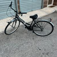 Bici Uomo da passeggio