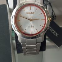 Citizen eco dryve