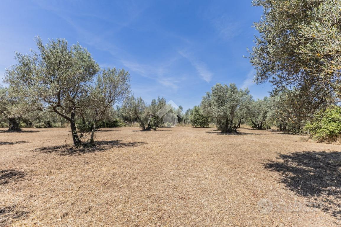 Casa – Vetralla, Madonna del Ponte - Vista 3