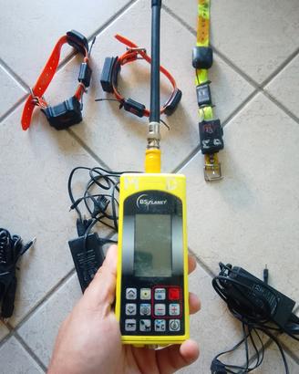 radiocollari