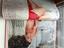 Immagine 3
