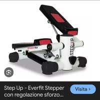 Step Everfit