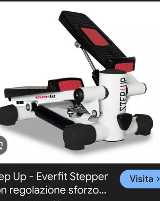 Step Everfit