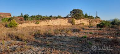 Terreno edificabile