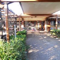 Negozio Sessa Aurunca [42c4c9bb-eddb-4c7b-bVCG]