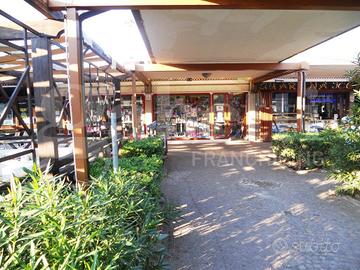 Negozio Sessa Aurunca [42c4c9bb-eddb-4c7b-bVCG]