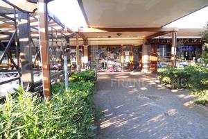 Negozio Sessa Aurunca [42c4c9bb-eddb-4c7b-bVCG]