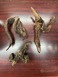 3 Legno per acquario