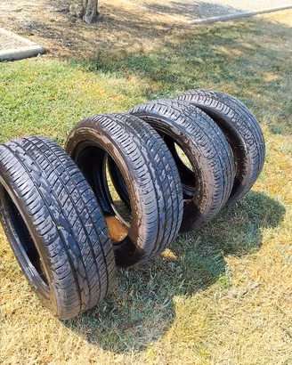 Treno gomme Tranpath Toyo