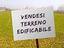 Immagine 8