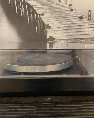 Giradischi Thorens TD 318