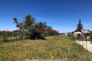 Terreno, Campofelice di Roccella.