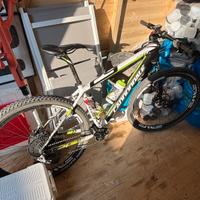 Cannondale 29