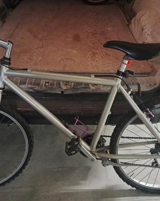 bici Mountain bike