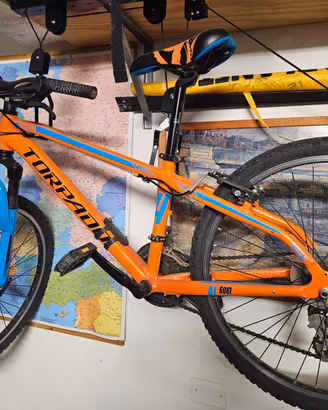 Bicicletta ragazzo TORPADO