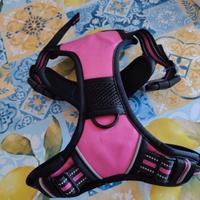 imbracatura per Cani