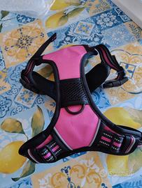 imbracatura per Cani