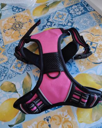 imbracatura per Cani