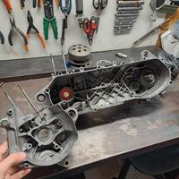 carter minarelli verticale preparati 