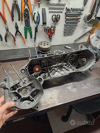 carter minarelli verticale preparati 