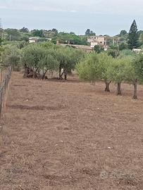 Terreno Panoramico Terrasini