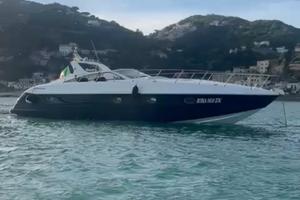 Alfamarine 47