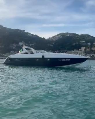 Alfamarine 47