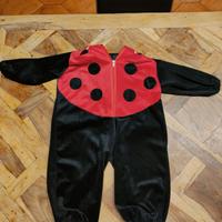 Vestito di Carnevale coccinella 