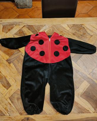 Vestito di Carnevale coccinella 