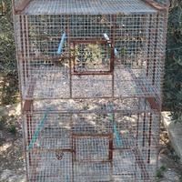 Gabbia per uccelli 4 livelli