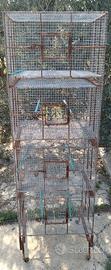 Gabbia per uccelli 4 livelli