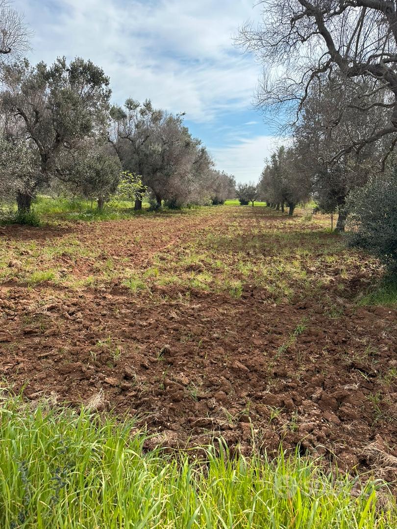 Terreno a San Vito dei Normanni - Vista 5