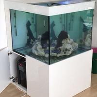 Acquario 800L