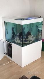 Acquario 800L