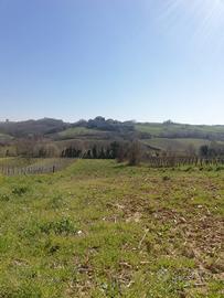 Terreno Agricolo a Torrecuso (BN)