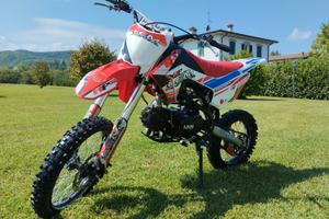 Pit bike lem RF 125