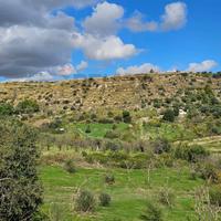 Terreno Edificabile - Noto