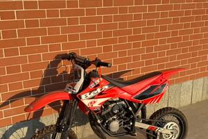 Beta MiniCross R12