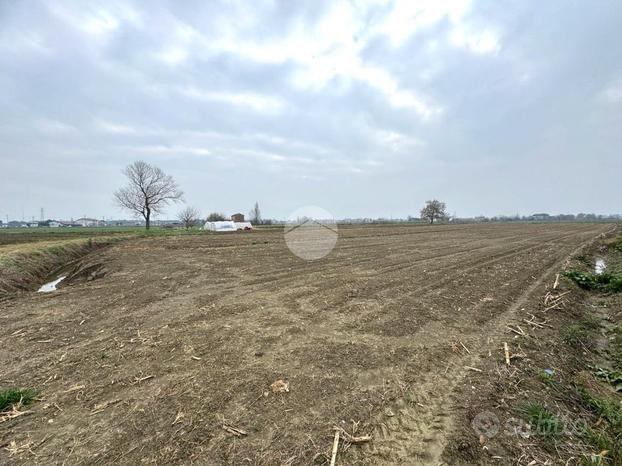 TER. AGRICOLO A SAN MAURO PASCOLI