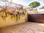 Immagine 21