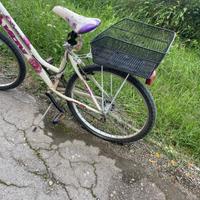 bicicletta