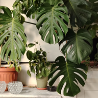 Appartamento a due passi dal mare