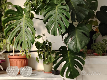 Appartamento a due passi dal mare