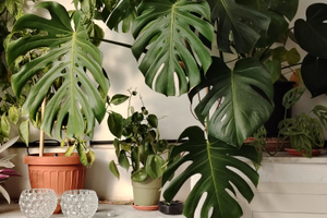 Appartamento a due passi dal mare