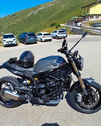 Benelli Leoncino 800