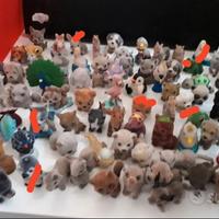 "Cuccioli cercx amici"