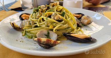CUOCO  GASTRONOMO ROSTICCERE DISPONIBILE CHEF