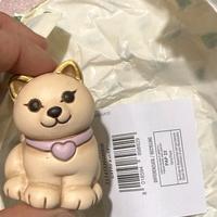 gatto thun bauli 