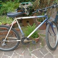 Mountain bike 