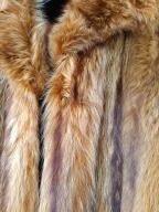 Cappotto di pelliccia marmotta rossa